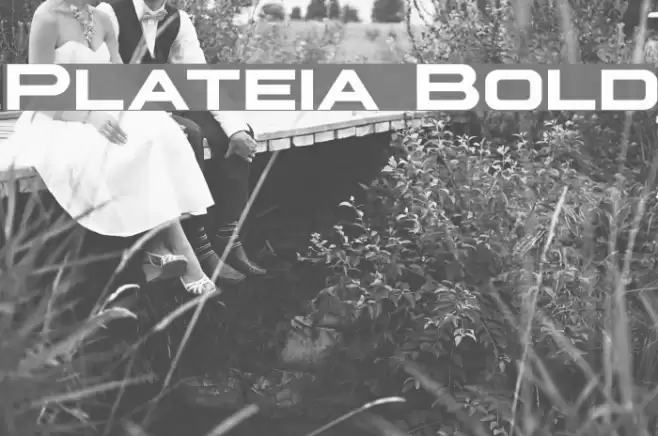 Plateia Bold Font examples