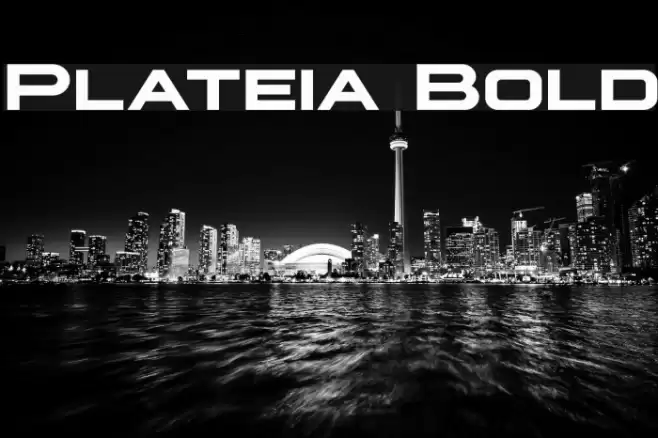 Plateia Bold Font examples
