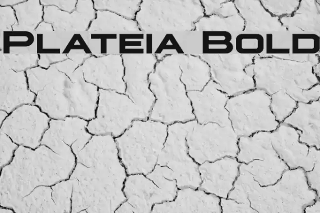 Plateia Bold Font examples