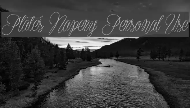 Plates Napery Personal Use Font examples