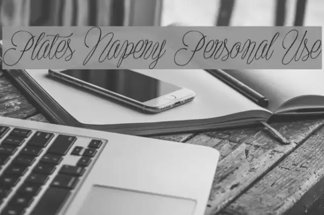 Plates Napery Personal Use Font examples