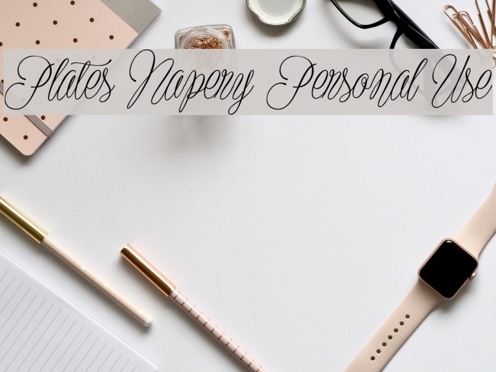 Plates Napery Personal Use Font examples