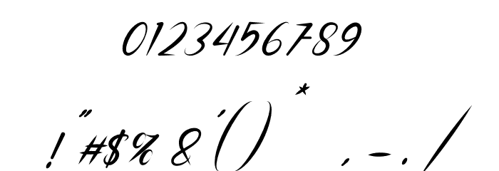 Platform Italic Font OTHER CHARS