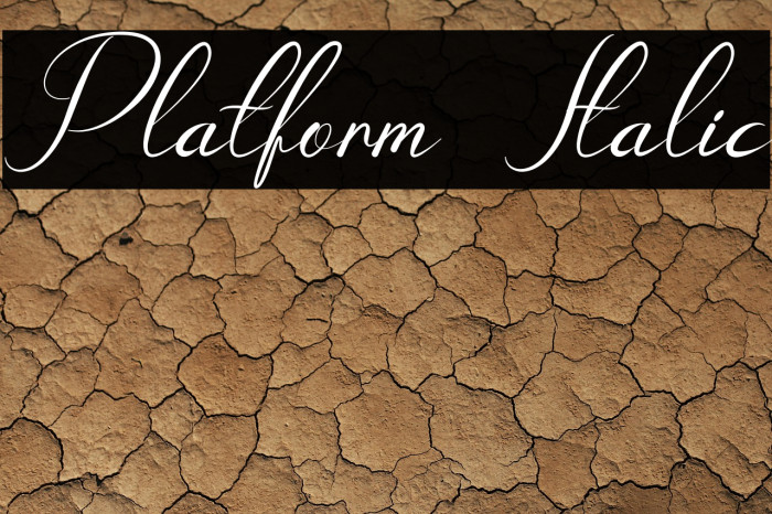 Platform Italic Example 2