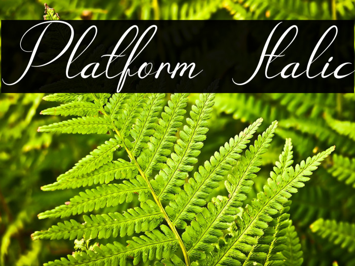 Platform Italic Example 3