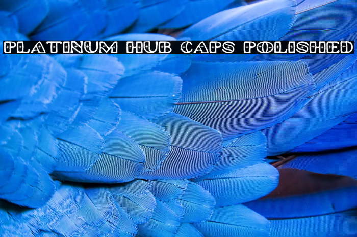 Platinum Hub Caps Polished Example 1