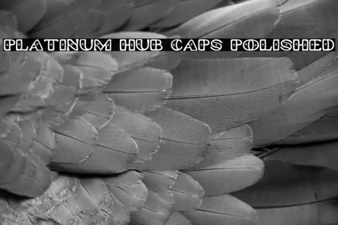 Platinum Hub Caps Polished 字体 examples