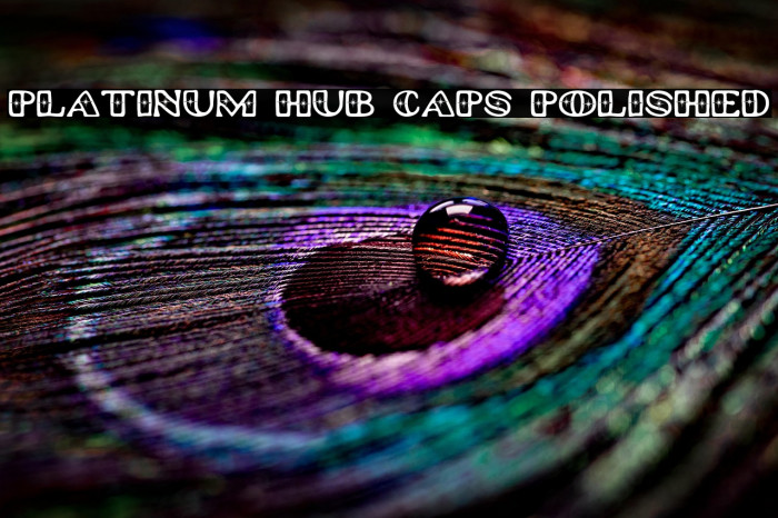 Platinum Hub Caps Polished Example 2
