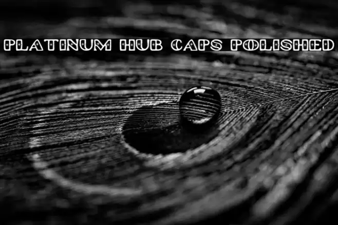 Platinum Hub Caps Polished 字体 examples