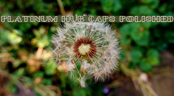 Platinum Hub Caps Polished Example 2