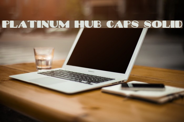 Platinum Hub Caps Solid Example 2