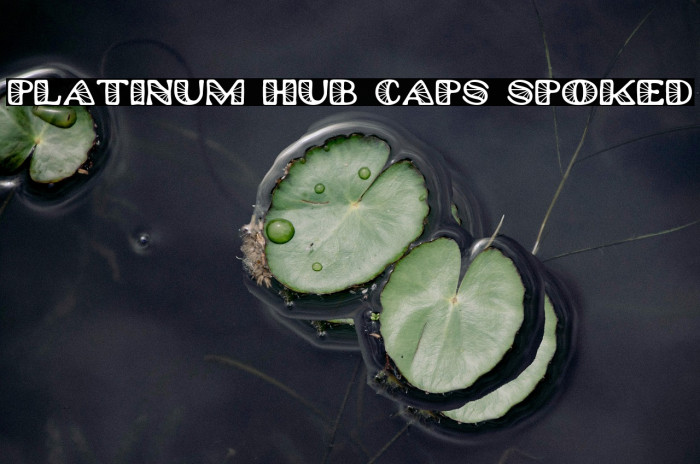 Platinum Hub Caps Spoked Example 1