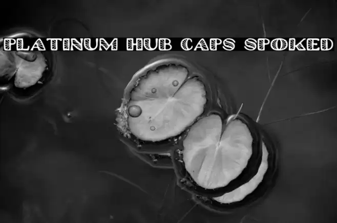 Platinum Hub Caps Spoked Font examples