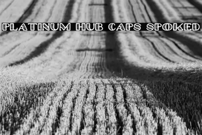 Platinum Hub Caps Spoked Font examples
