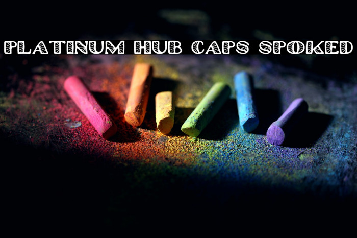 Platinum Hub Caps Spoked Example 3