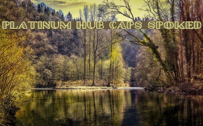 Platinum Hub Caps Spoked Example 2