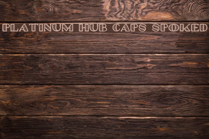 Platinum Hub Caps Spoked Example 3