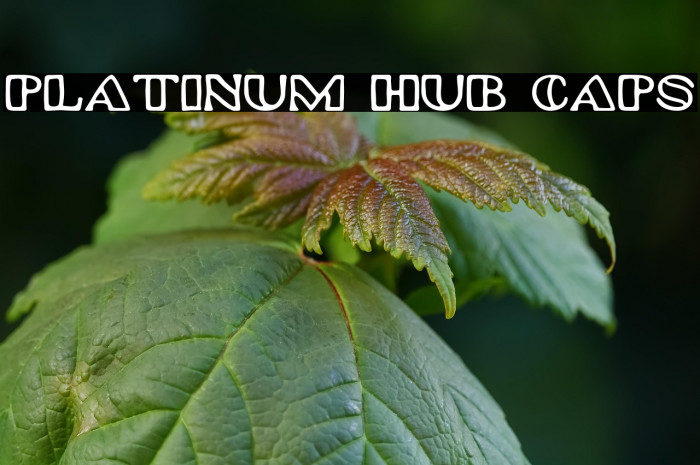 Platinum Hub Caps Example 1