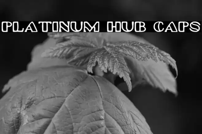 Platinum Hub Caps Font examples