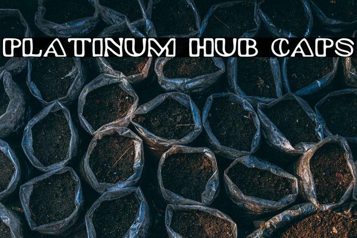 Platinum Hub Caps Example 3