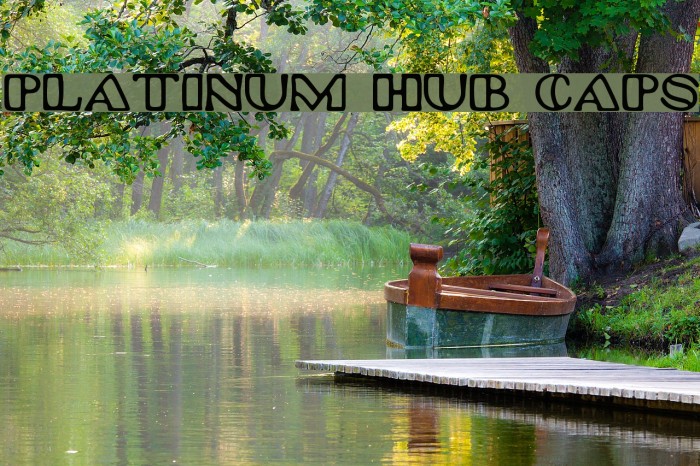 Platinum Hub Caps Example 1