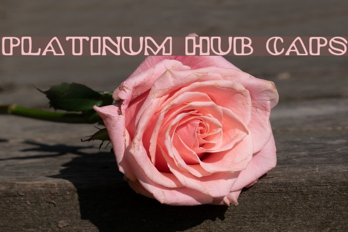 Platinum Hub Caps Example 2