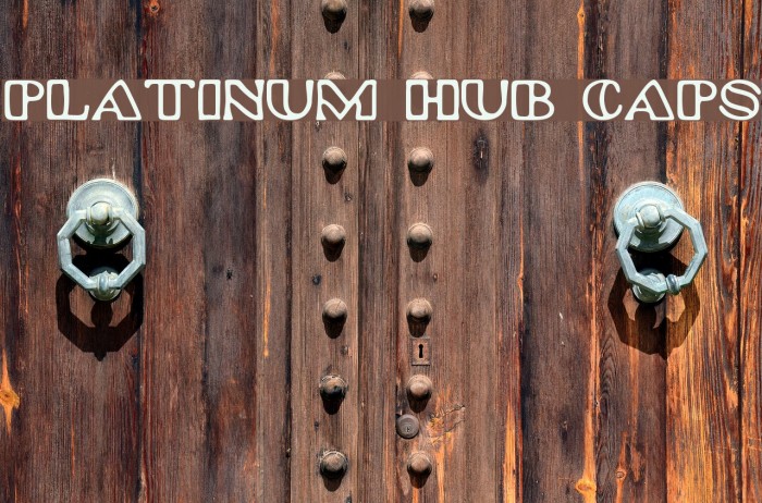 Platinum Hub Caps Example 3
