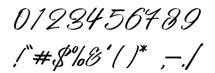 Platinum Signature Font OTHER CHARS