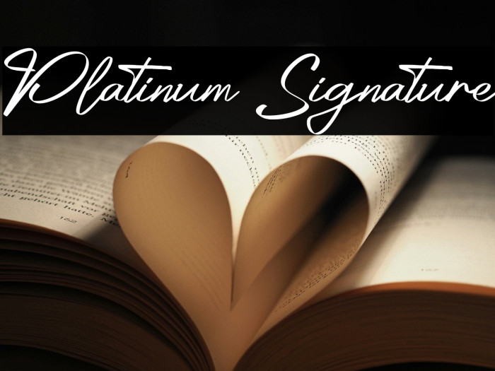 Platinum Signature Example 2