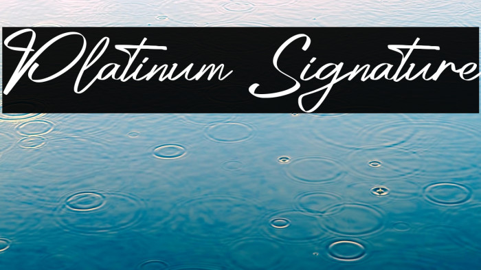 Platinum Signature Example 3