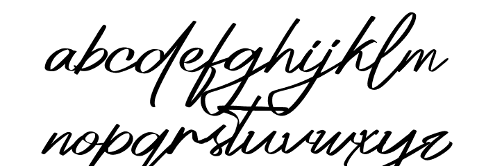 Platinum Signature Font LOWERCASE