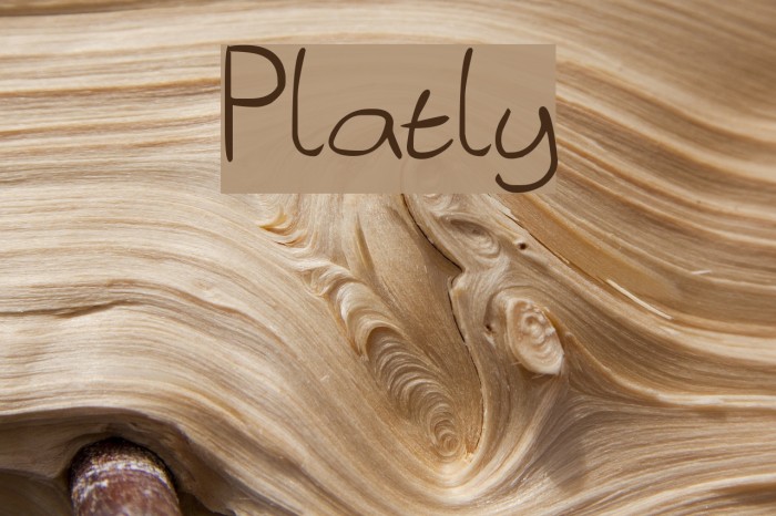 Platly Font examples
