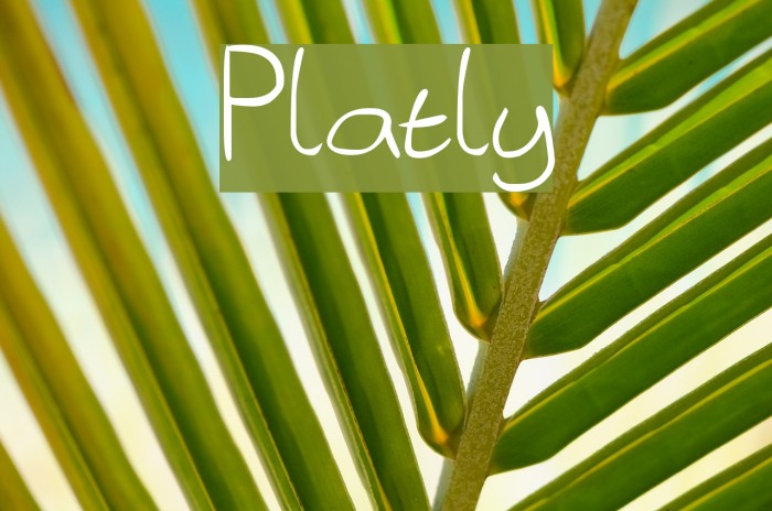 Platly Font examples