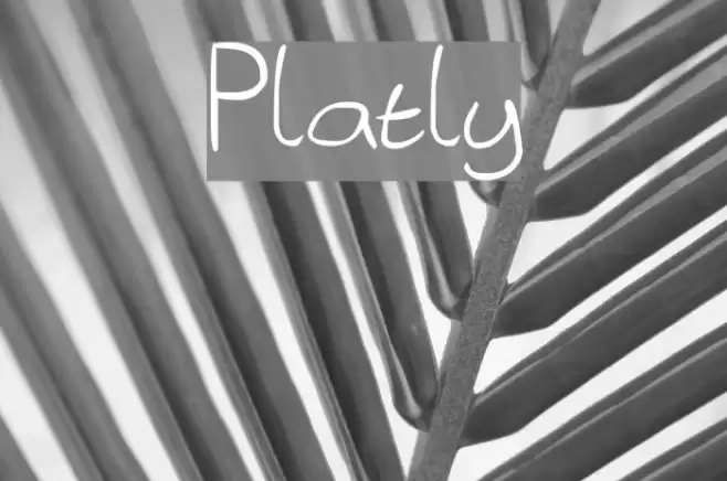 Platly Fonte examples