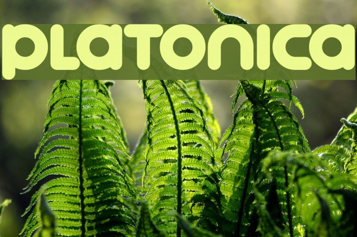 Platonica Font examples