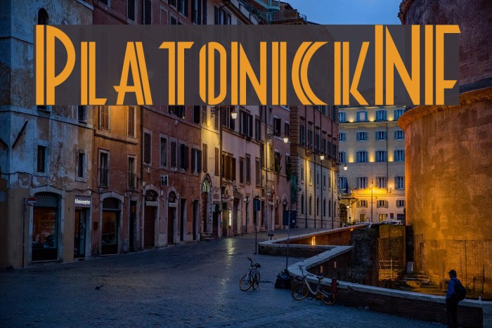 PlatonickNF Example 2