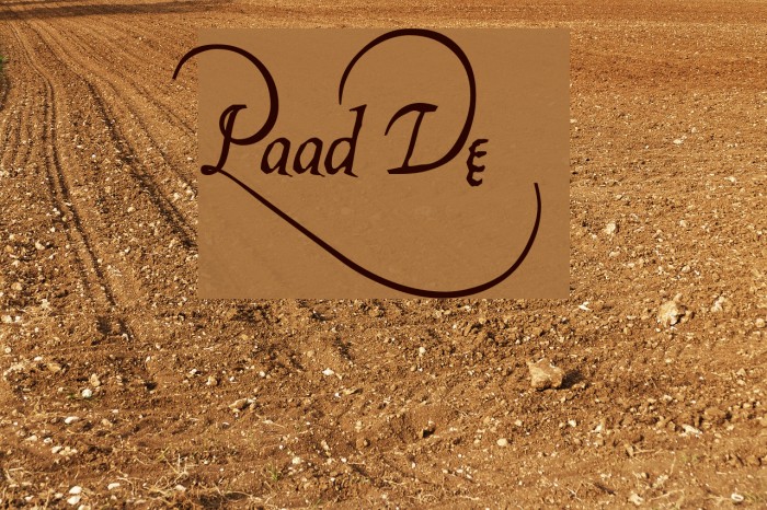 Platthand Demo Font examples