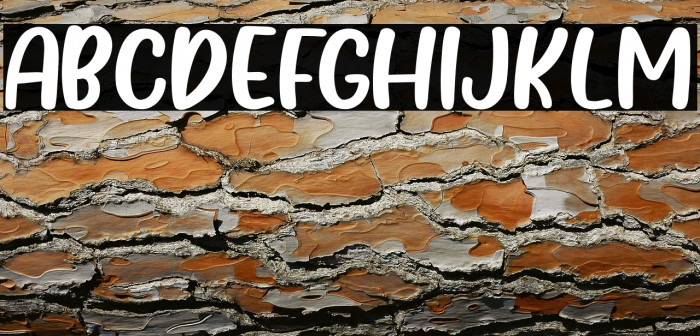 Plavea - Solid Example 1