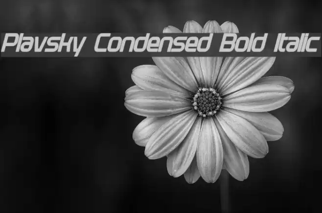 Plavsky Condensed Bold Italic examples