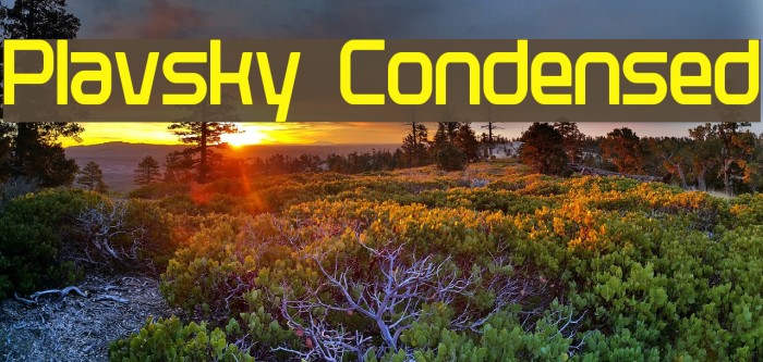 Plavsky Condensed Font examples