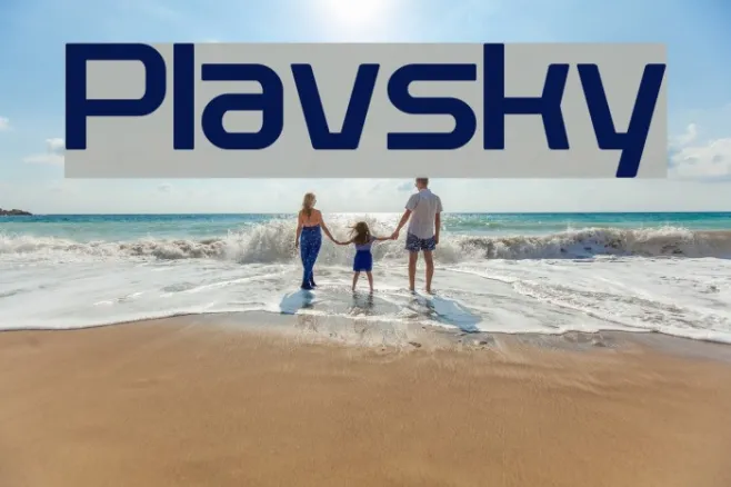 Plavsky Example 1