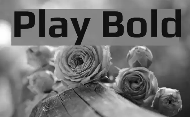 Play Bold Font examples