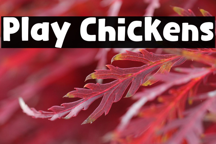 Play Chickens Example 2
