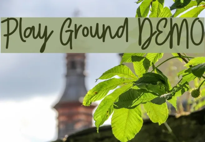 Play Ground DEMO Example 2