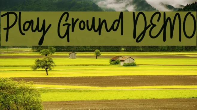 Play Ground DEMO Example 3