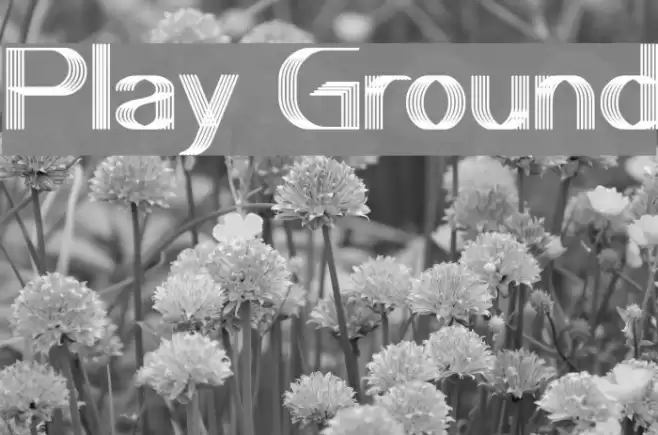 Play Ground Font examples