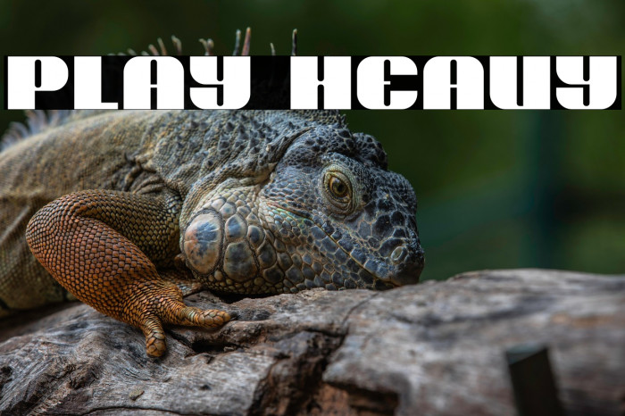 Play Heavy Example 3