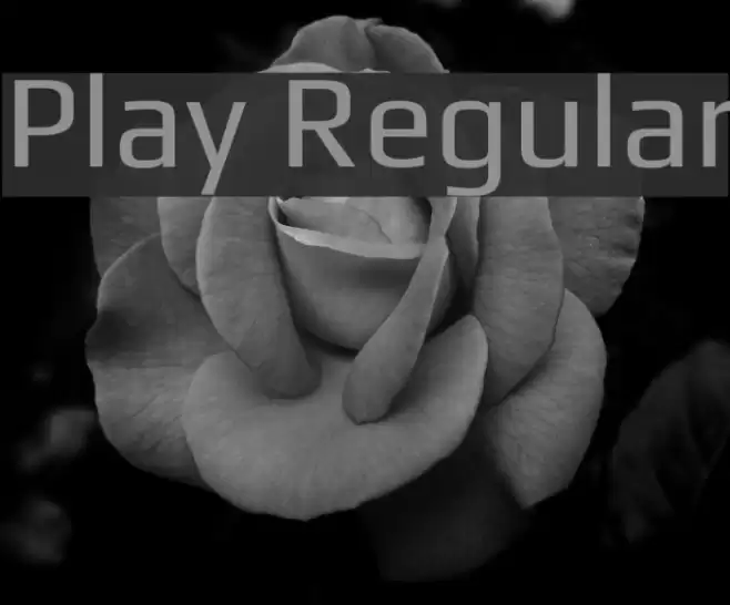 Play Regular Font examples