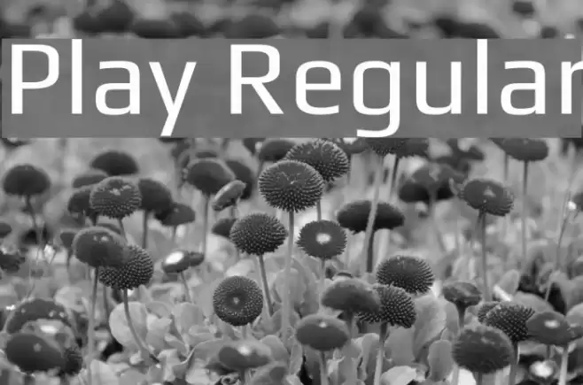 Play Regular Font examples