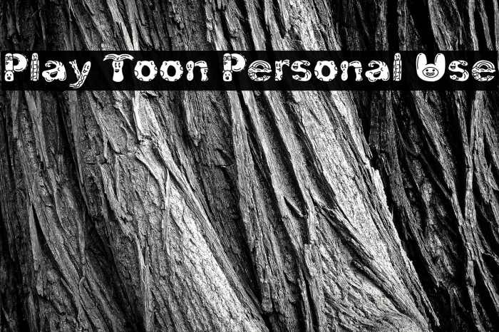 Play Toon Personal Use Example 2